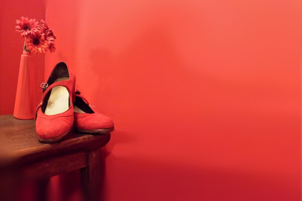 Io e il Flamenco