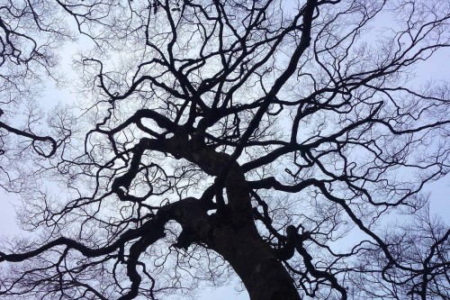 Il telemarketing è morto?