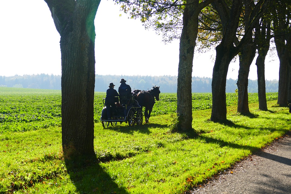Coaching individuale