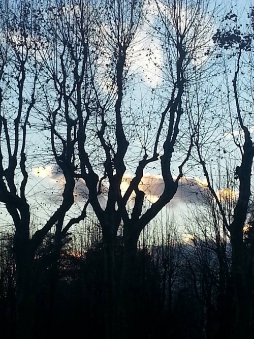 Sopportare o accettare?