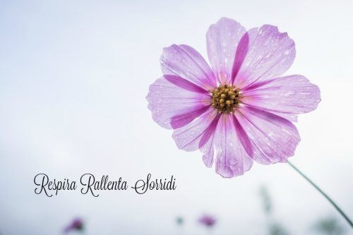 Come farsi ascoltare