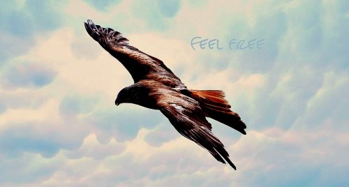 Libertà e responsabilità